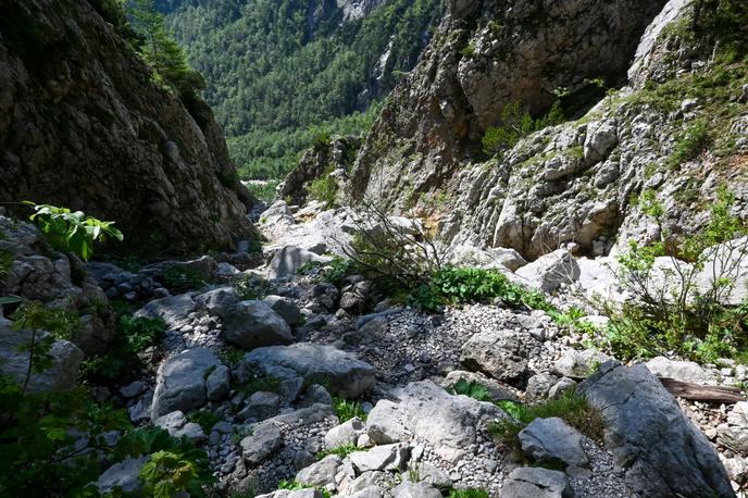 Logarska dolina Rinka Okrešelj | Foto Matej Podgoršek