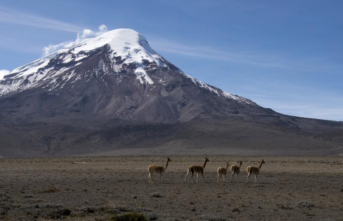 Chimborazo, vulkan, ognjenik | Foto: Reuters