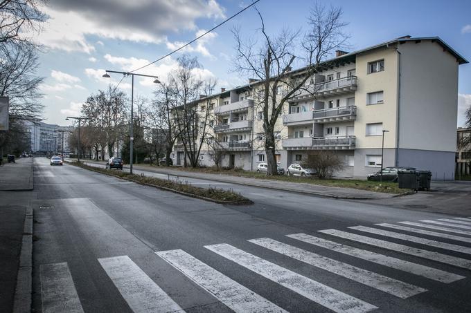 Litostrojska | Foto: Bojan Puhek