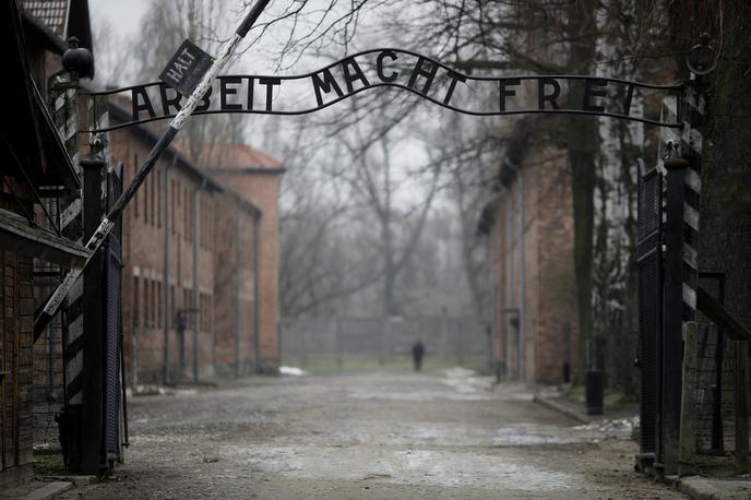Pohod živih, Auschwitz | Evropski parlament je 2. avgust leta 2015 razglasil za vsakoletni evropski dan spomina na žrtve holokavsta nad Romi, in sicer v spomin na 500 tisoč Rominj in Romov, kar predstavlja vsaj četrtino vsega takratnega romskega prebivalstva, umorjenih v Evropi, ki so jo zasedli nacisti. | Foto Reuters