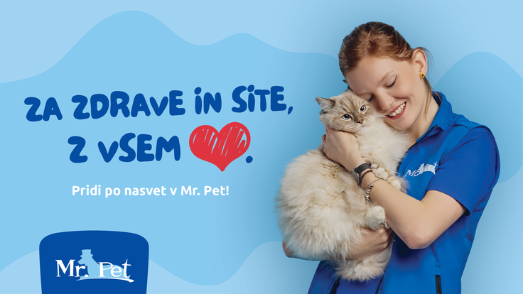 Mr Pet - mačka | Foto: Mr. Pet