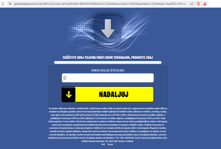 Majhna hiša scam | Foto: Posnetek zaslona