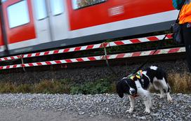Deutsche Bahn psi