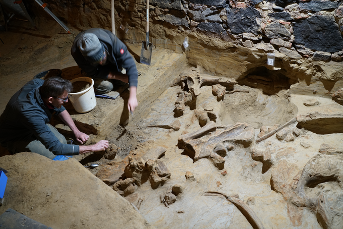 Ugotavljajo, da je najdišče v kameni dobi morda služilo kot prostor za živali in da obstaja možnost, da so mamuti umrli prav tukaj. | Foto: ÖAI - Wien