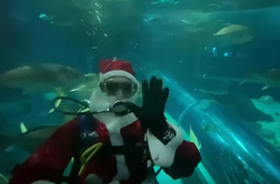 Namesto jelenčkov so Božičkom družbo delali morski psi #video