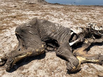 Srce parajoči prizori #foto