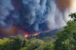 Razglašena velika požarna ogroženost, temperature blizu rekorda