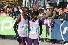 Maraton lj