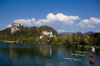 Domači floti manjkajo predvsem kilometri