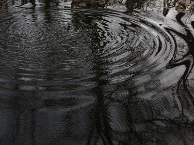 Tragedija na ribniku v Prekmurju: med plavanjem utonil moški