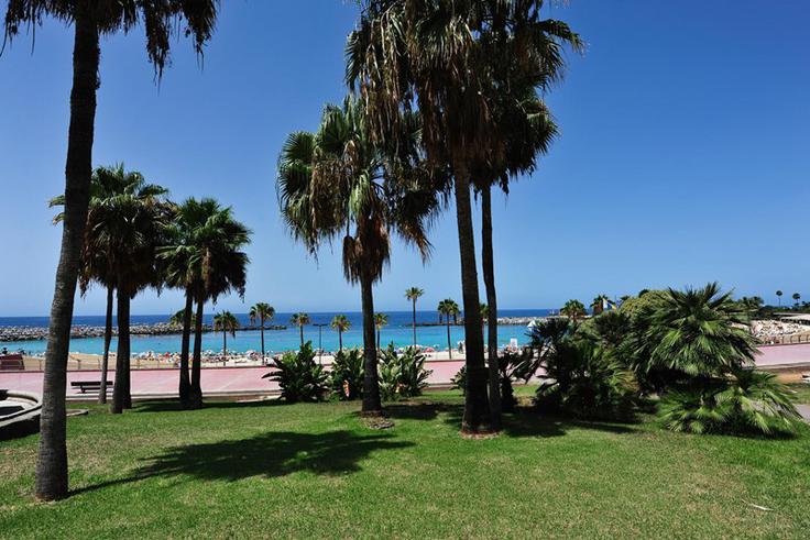 Nika s fantom živi na eni od najboljših mestnih plaž v Evropi – Las Canteras. Na fotografiji pa je plaža Amadores na jugu otoka, ki je oddaljena 40 minut z avtom iz glavnega mesta. | Foto: Aljosa Petric Photographer