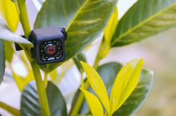 Miniaturna HD-kamera za vse priložnosti