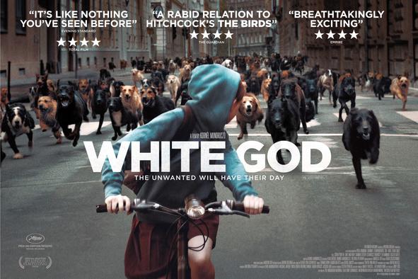 Beli bog (Fehér isten/White God)