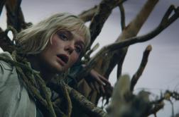 Predator: na vrhu prehranjevalne verige?