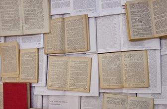 Na Ptuju sklepni del Dnevov poezije in vina