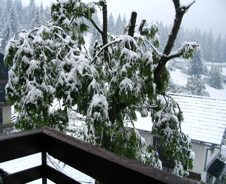 vreme, sneg, Loški potok, Meteoinfo Slovenija good vreme, sneg, Loški potok, Meteoinfo Slovenija good | Foto: Andreja Mišič/Meteoinfo Slovenija