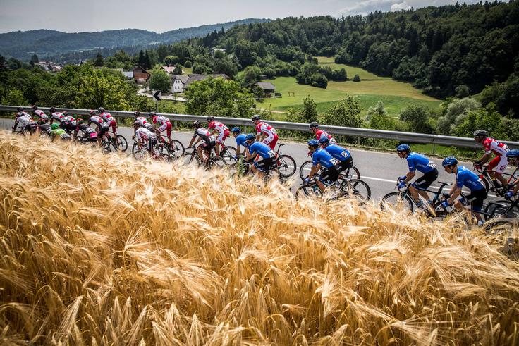 2. etapa dirke Po Sloveniji: Kolesarji drvijo proti kraju Moravče, domačemu kraju slovenske smučarskoskakalne legende Primoža Peterke. | Foto: Vid Ponikvar