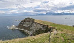 Kaikoura, mesto kitov in lahkih pohodov