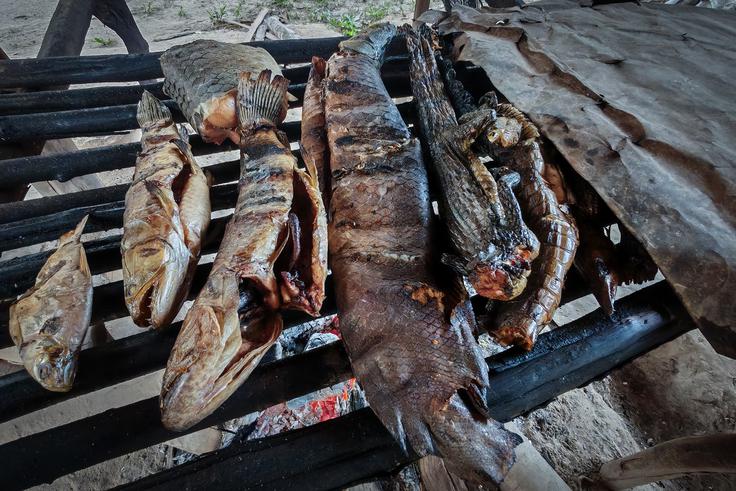 Za najokusnejše veljajo mišice pri rokah in nogah ter rep. | Foto: K. M.