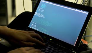Ruski hekerji napadli več ameriških spletnih strani
