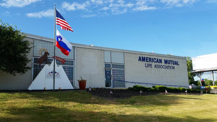 25-letnico samostojne Slovenije so praznovali tudi v slovensko-ameriškem združenju AMLA. 25. junija so obiskovalcem delili nageljne in zgibanko o slovenski zgodovini združenja. | Foto: Osebni arhiv