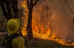 V Kaliforniji še naprej divjajo požari, na območju jezera Tahoe evakuirali več tisoč ljudi #video