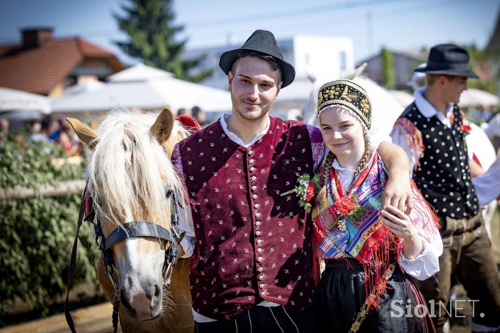 Posavsko štehvanje