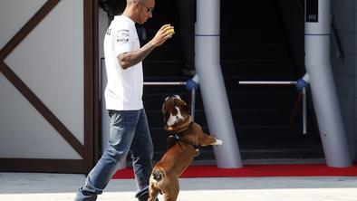 Monza F1: Hamilton in Alonso zlepljena, Williams obetavno