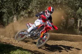 Tim Gajser 2024 Honda