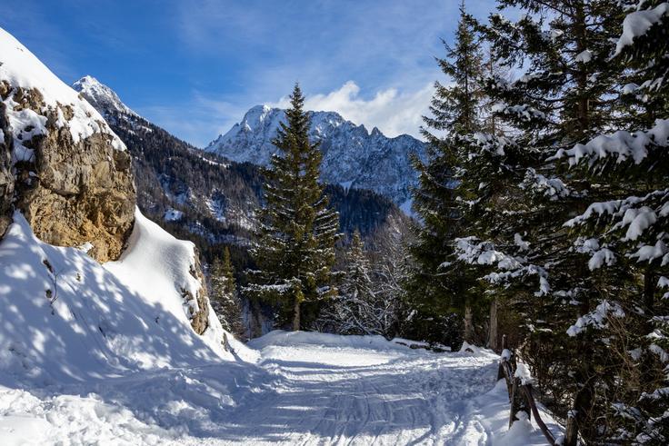 Sestopimo po poti pristopa. | Foto: Matej Podgoršek