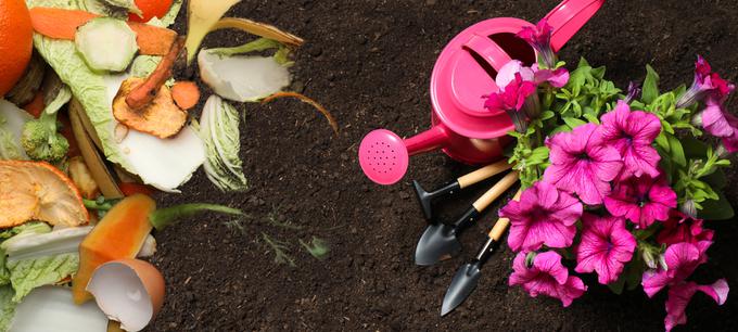 kompost vrt zemlja | Foto: Shutterstock