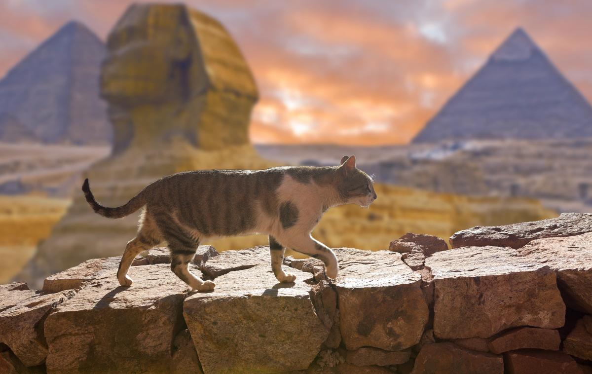 stari egipt | Foto Shutterstock