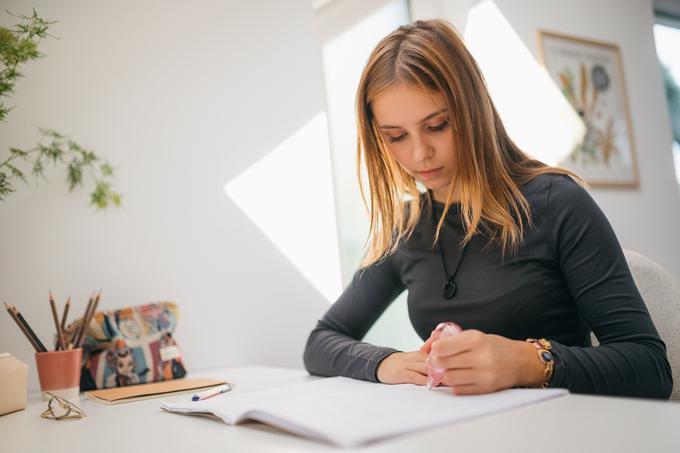 VELUX SI 4 | Foto: VELUX Slovenija