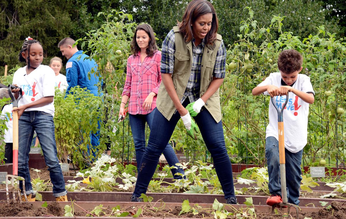 Michelle Obama ob nabiranju zelenjave na vrtu Bele hiše | Foto Reuters
