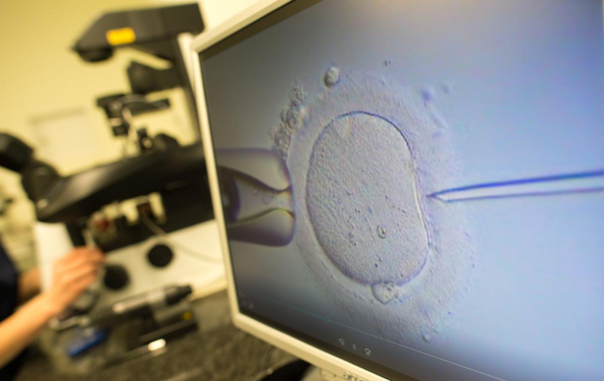 Umetna oploditev | Ustavno sodišče je lani odločilo, da je trenutna ureditev, po kateri lahko do postopkov oploditve z biomedicinsko pomočjo dostopajo samo poročeni moški in ženske, neskladna z ustavo. | Foto Guliverimage