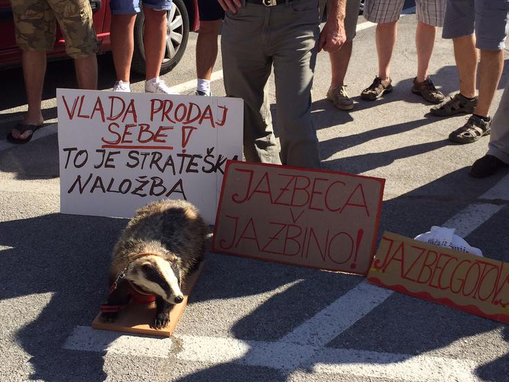 Luka Koper protest | Foto: Ana Kovač