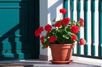 Nasveti za osvežitev doma