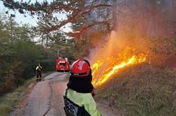 Vodja intervencije: Požar je pod nadzorom, a do končnega je še daleč #foto #video