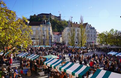 November obljublja vrhunsko vinsko pokušino