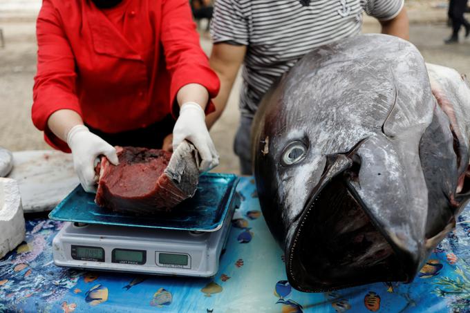 Največjo količino živega srebra najdemo v ribah roparicah. | Foto: Reuters