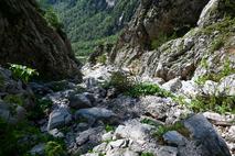 Logarska dolina Rinka Okrešelj