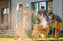 Vodni kamen uničuje naprave in zvišuje račune. Obstaja naravna rešitev brez soli in kemikalij.