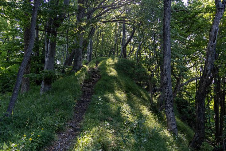 Lepa pešpot po grebenu Šmohorja od planinskega doma pa do vzletišča Malič. | Foto: Matej Podgoršek