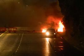 Protesti, Irska, policija