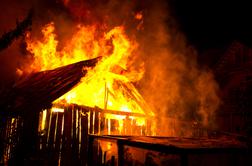 V požaru lesenega hleva zgorelo trideset domačih živali