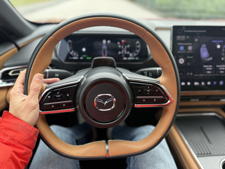 Všečen volan, pogrešamo pa obvolanske ročice za nastavitev jakosti rekuperacije.  | Foto: Gregor Pavšič