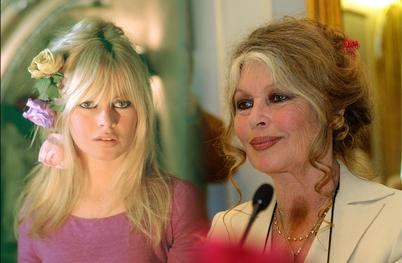 Brigitte Bardot v bolnišnici, njeno stanje je resno