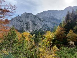 Kranjska Gora