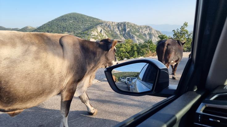 Biokovo cesta | Foto: Metka Prezelj