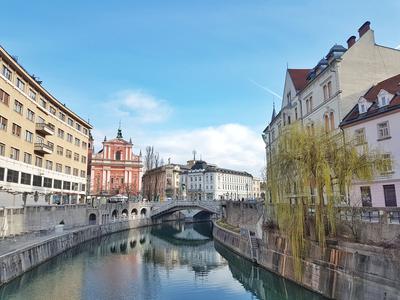 Kaj se skriva za vprašanji, ki so preplavila Ljubljano?